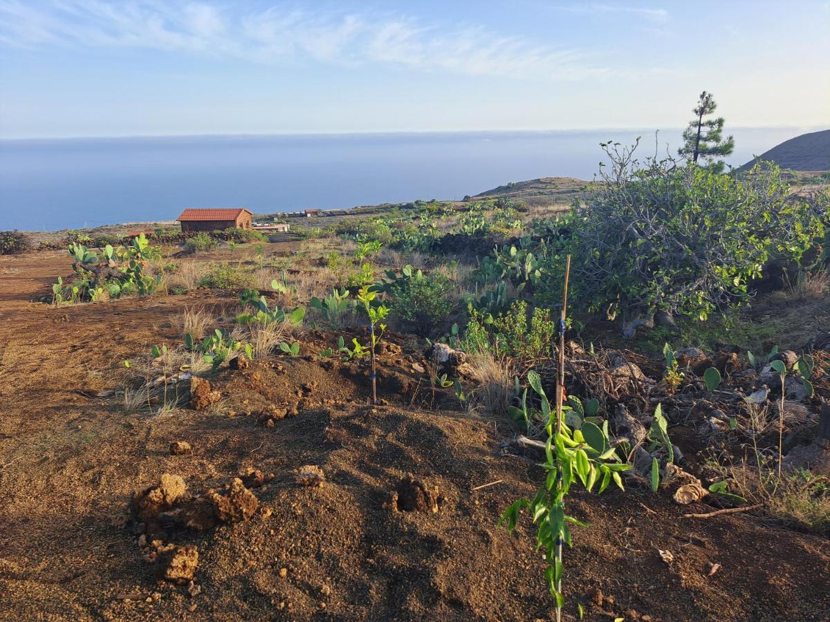 Las Casitas De Pao El Pinar  Dış mekan fotoğraf