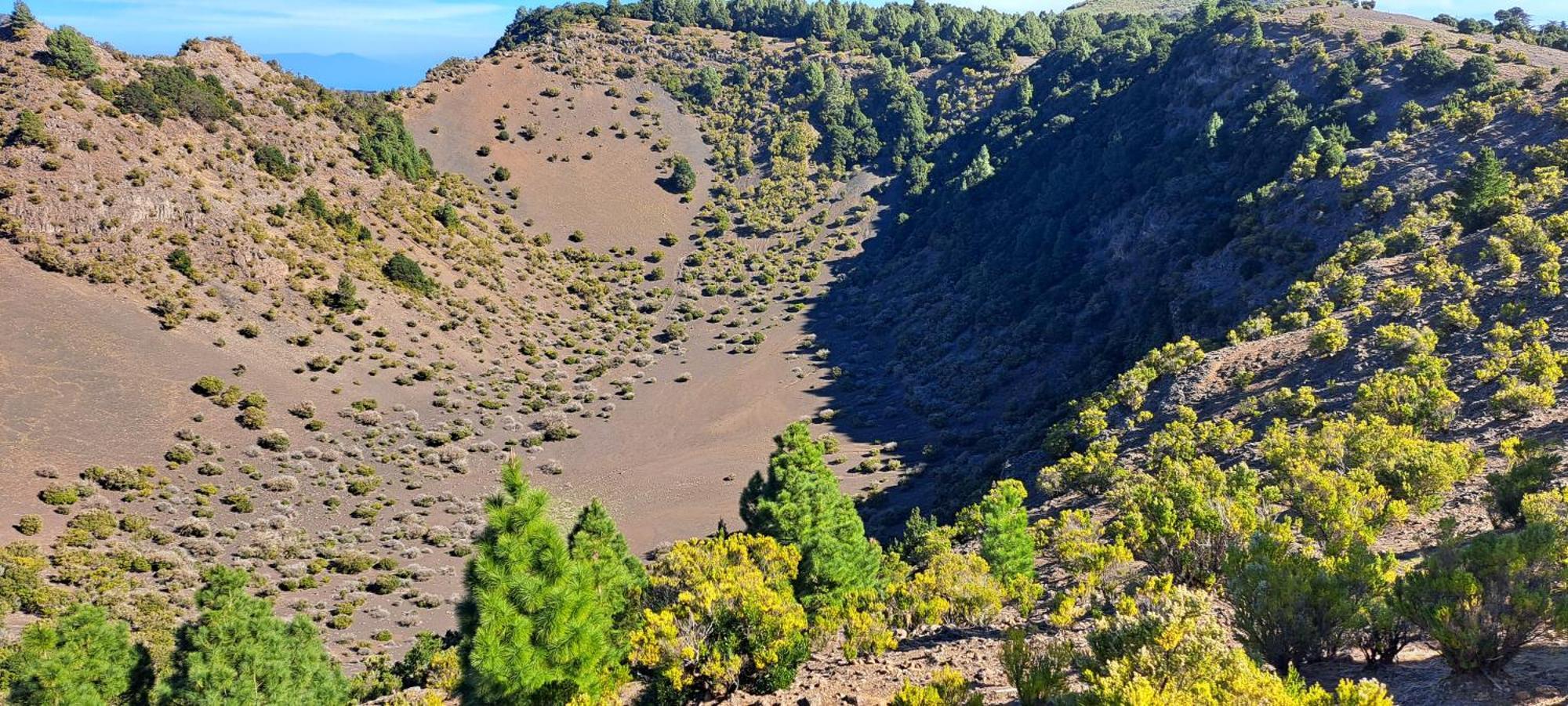 Las Casitas De Pao El Pinar  Dış mekan fotoğraf