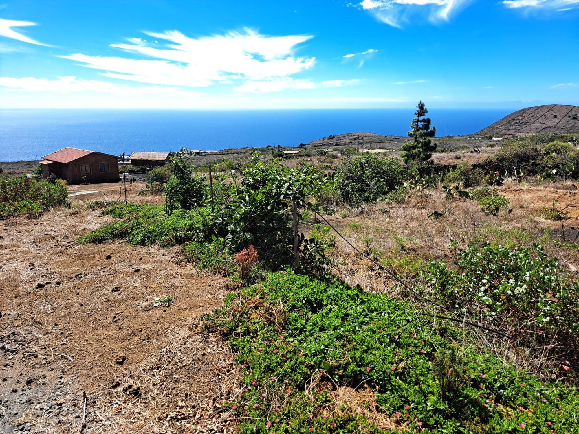 Las Casitas De Pao El Pinar  Oda fotoğraf