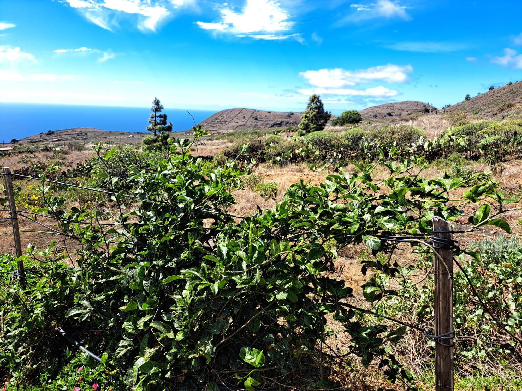 Las Casitas De Pao El Pinar  Oda fotoğraf